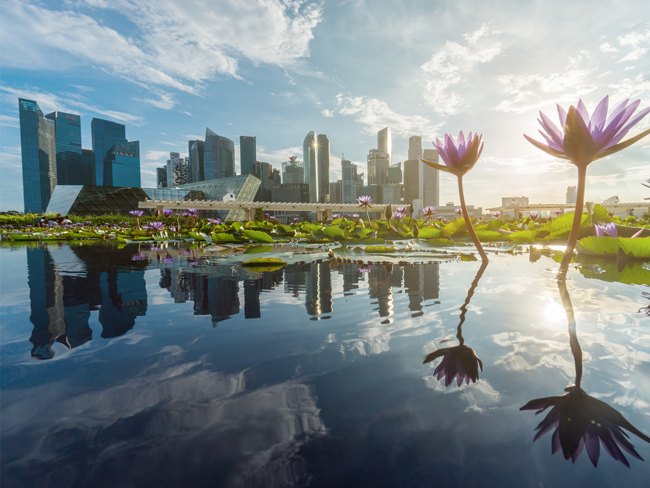 Singapore dollar bonds – An effective diversifier