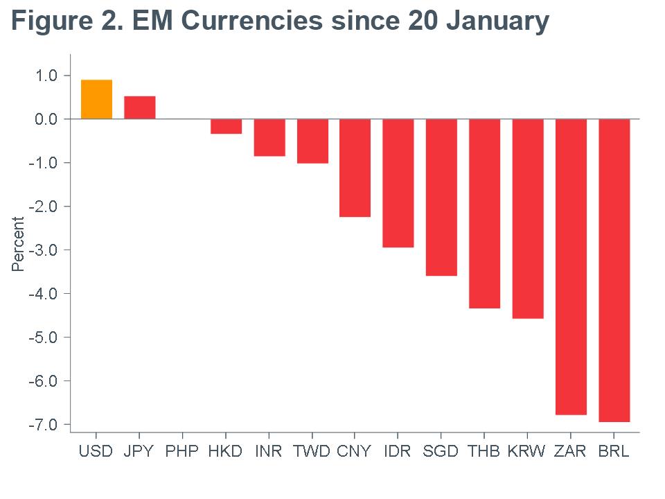 Macro Briefing - MB_EM Currencies since 20 January