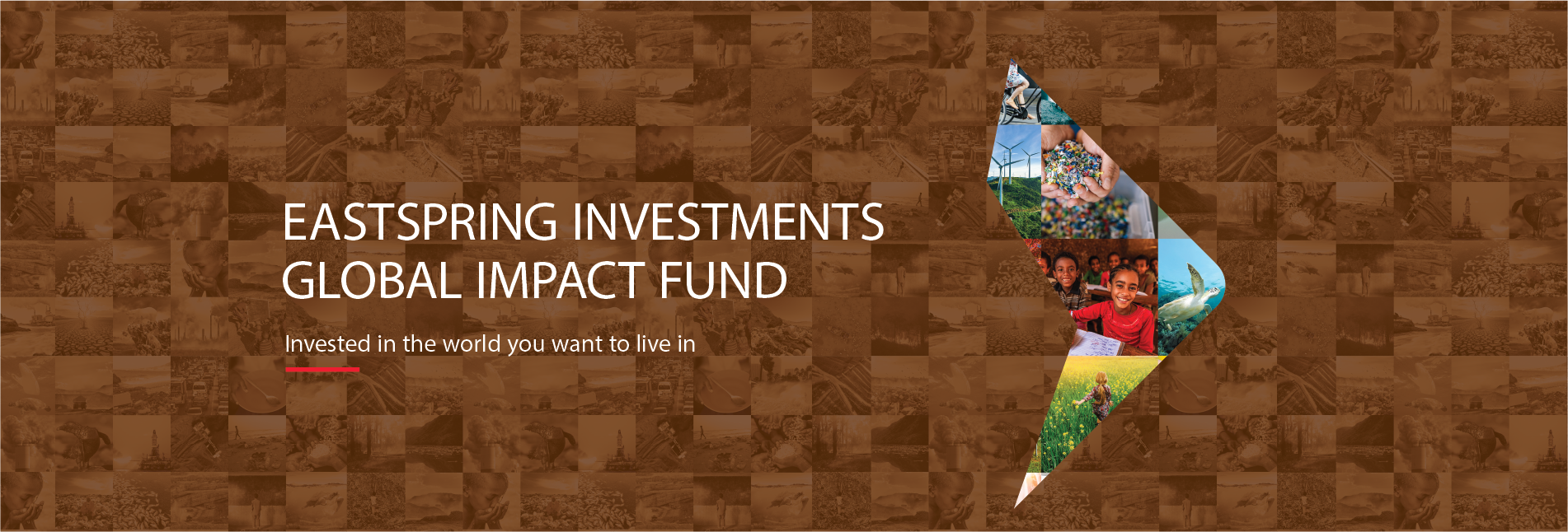 EI Global Impact Fund_Web page_Desktop