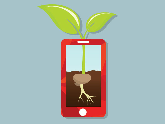 An app-based farm or a farm-based app?