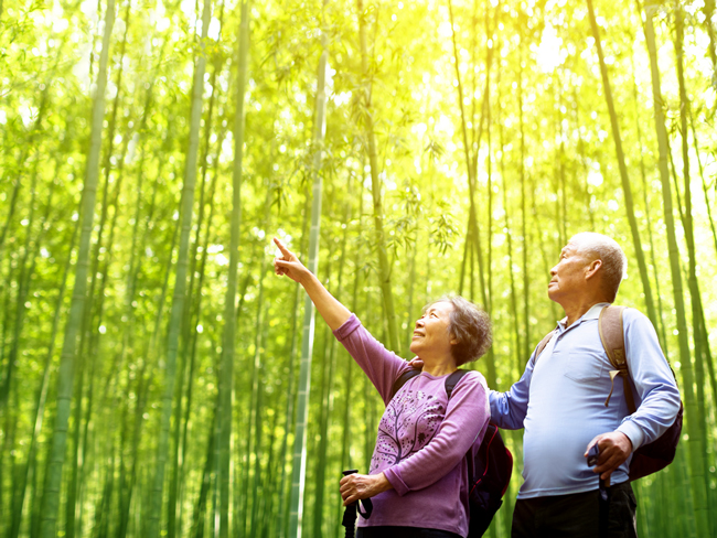 Bridging Asias Pension Gap