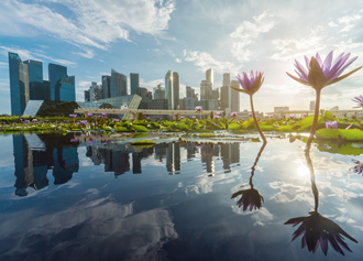 Singapore dollar bonds - An effective diversifier