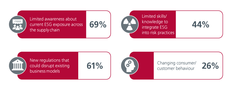 Image of  Specific ESG risks identified by business leaders