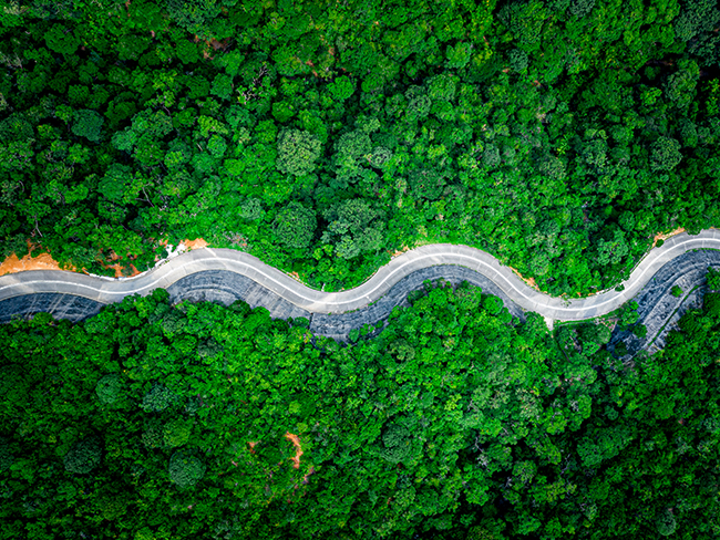 2021 Mid-Year Outlook : Navigating an uneven recovery
