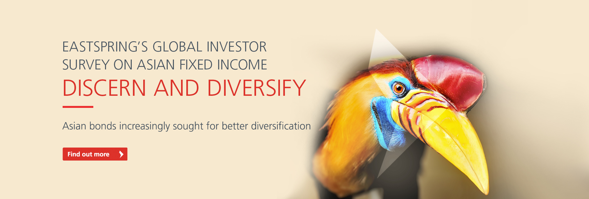 Asian Fixed Income - White paper