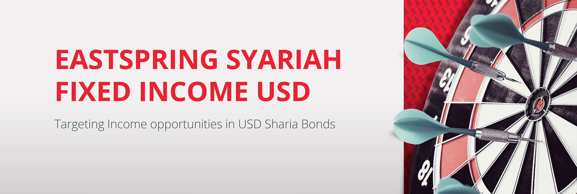 USD FI banner 